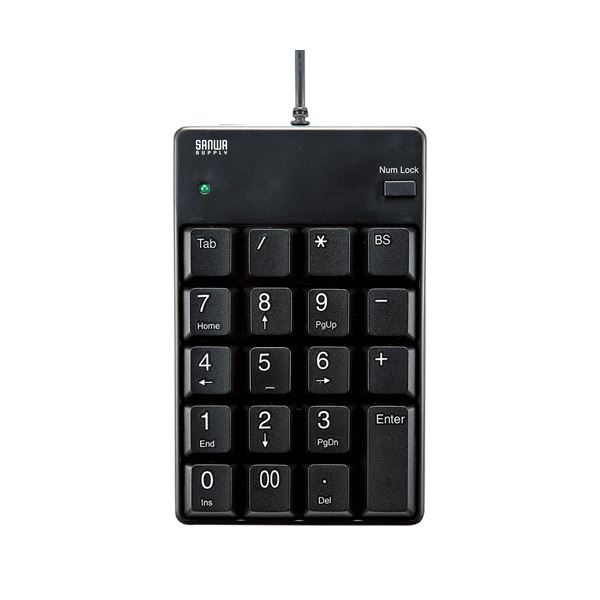 【送料無料】(まとめ)サンワサプライ USBテンキー NT-17UBKN【×2セット】