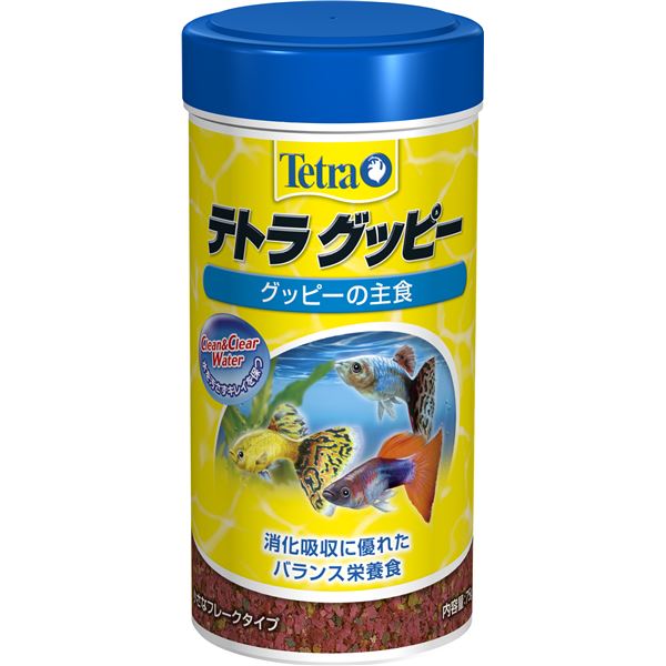 【送料無料】スペクトラムブランズジャパン テトラ グッピーフード 75g 【ペット用品】【代引不可】 ホビー・エトセトラ ペット その他のペット レビュー投稿で次回使える2000円クーポン全員にプレゼント