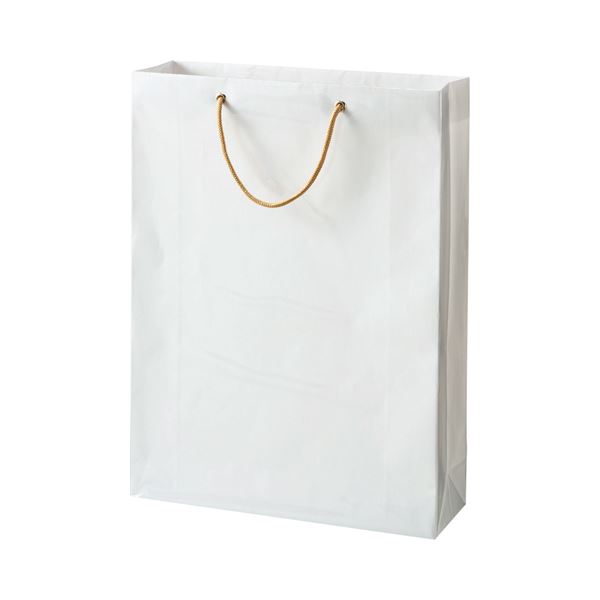 【送料無料】(まとめ) TANOSEE ビニールカバー付手提げ袋 L ヨコ380×タテ510×マチ幅120mm 白無地 1パック（10枚） 【×5セット】