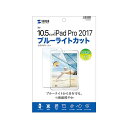 (まとめ)サンワサプライ Apple10.5インチiPadPro2017用ブルーライトカット液晶保護指紋防止光沢フィルム LCD-IPAD9BC【×2セット】