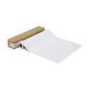【送料無料】キヤノン 写真用紙・プレミアムマット210g LFM-CPPM/42/210 42インチ1067mm×30.5m 1109C001 1本