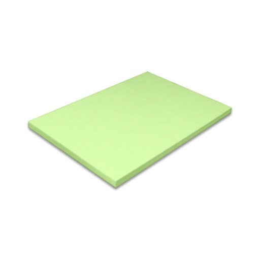 (まとめ) 北越コーポレーション 紀州の色上質菊四(317×468mm)T目 厚口 鶯 1セット(20枚) 【×5セット】 (まとめ) 北越コーポレーション 紀州の色上質菊四(317×468mm)T目 厚口 鶯 1セット(20枚) 【×5セット】