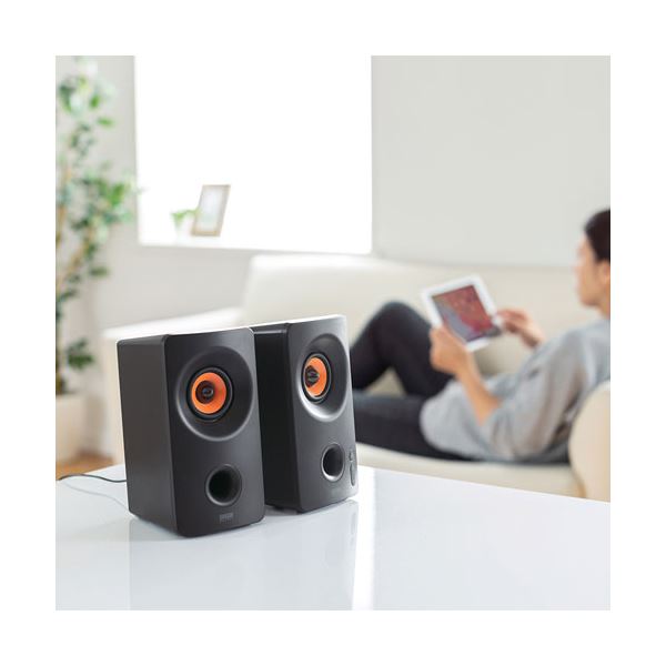 ヘッドホン・イヤホン ステレオイヤホン/カナル型/φ3.5mm/マイク付/Fast Music/FS12C/10.0mmドライバー/高耐久ケーブル/シルバー EHP-FS12CMSV オススメ 送料無料