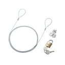 【送料無料】サンワサプライ NobleWedgeスロット対応セキュリティワイヤー・南京錠 SL-81