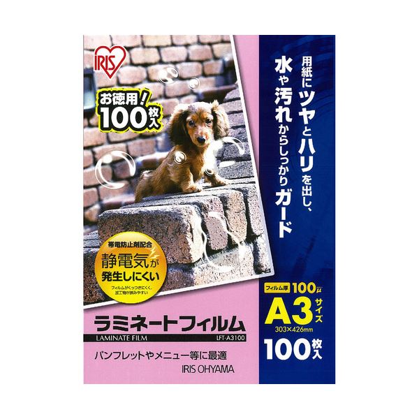 【送料無料】(まとめ) アイリスオーヤマ ラミネートフィルムA3 100μ LFT-A3100 1パック(100枚) 【×10セット】 生活用品・インテリア・雑貨 文具・オフィス用品 ラミネーター レビュー投稿で次回使える2000円クーポン全員にプレゼント