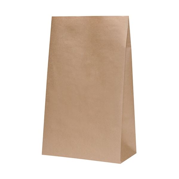 【送料無料】パックタケヤマ 角底袋 未晒 無地 H50mm XZT50045 1パック(100枚)