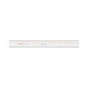 【送料無料】(まとめ) ライオン事務器 アクリル直線定規30cm No.10 1セット(10本) 【×10セット】
