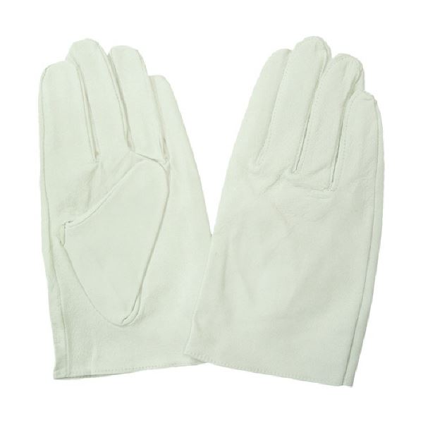 【送料無料】(まとめ) 富士グローブ EX-230 白 M 5961 1双 【×3セット】