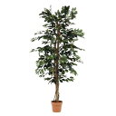 【送料無料】観葉植物 造花 約幅90cm フィカス 7号鉢対応 1124 A 52662 インテリアグリーン リビング 店舗 ショップ お店 生活用品・インテリア・雑貨 インテリア・家具 観葉植物 レビュー投稿で次回使える2000円クーポン全員にプレゼント