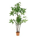 【送料無料】観葉植物 造花 約幅90cm パキラ スタンダード 7号鉢対応 52666 インテリアグリーン リビング 店舗 ショップ お店 生活用品・インテリア・雑貨 インテリア・家具 観葉植物 レビュー投稿で次回使える2000円クーポン全員にプレゼント