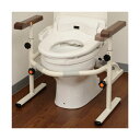 【送料無料】パナソニック エイジフリー洋式トイレ用スライド手すり(ステンレス)PN-L53001 1台