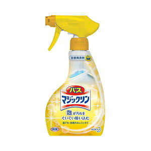 【送料無料】(まとめ) 花王 バスマジックリン 泡立ちスプレー 本体 380ml 1本 【×30セット】 生活用品・インテリア・雑貨 その他の生活雑貨 レビュー投稿で次回使える2000円クーポン全員にプレゼント