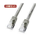 10個セットサンワサプライ ツメ折れ防止カテゴリ5eSTPLANケーブル KB-STPTS-005X10