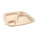 【送料無料】パックスタイル BB竹バガス弁当 N23-23A ラミ 227×227×高さ25mm 1パック(50枚)