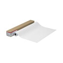 【送料無料】(まとめ)キヤノン フォト光沢紙(薄口)LFM-GPH/B2/170 B2ロール 515mm×30m 4379B009 1本【×3セット】