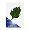 【送料無料】A&K プレミアム荒神松 丹波産高級椿葉使用 Sサイズ KJM-004PS