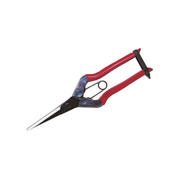 (まとめ) 近正(チカマサ) 芽切鋏ロング T-570 1個 【×3セット】