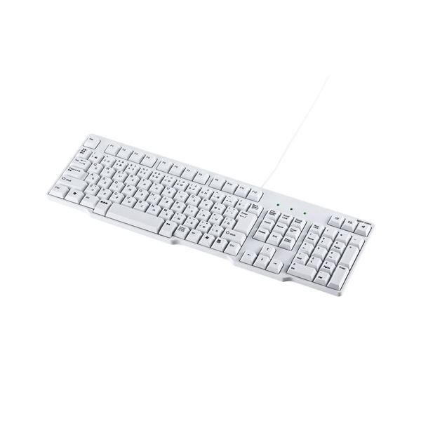 【送料無料】サンワサプライ USBキーボード SKB-L1UN