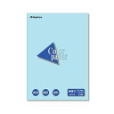 【送料無料】Color Paper A3 最厚口 空 25枚 【×10セット】