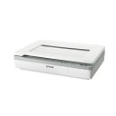 【送料無料】エプソン フラットベッドスキャナー A3600dpi DS-50000 1台