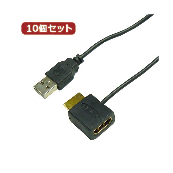 10個セット HORIC HDMI-USB電源アダプタ HDMI-138USBX10 AV・デジモノ パソコン・周辺機器 ケーブル・ケーブルカバー その他のケーブル・ケーブルカバー レビュー投稿で次回使える2000円クーポン全員にプレゼント