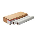 【送料無料】(まとめ) キヤノン スタンダード普通紙2LFM-PPS2/A2/64 A2ロール 420mm×50m 8738B006 1箱(2本) 【×5セット...