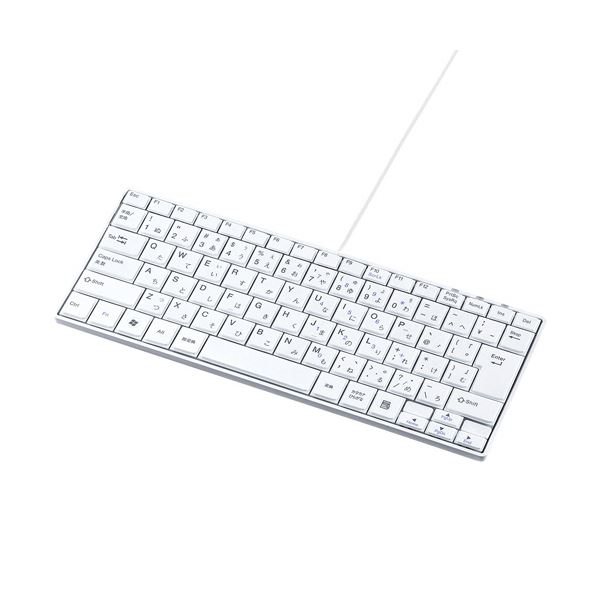 【送料無料】サンワサプライ USBスリムキーボードホワイト SKB-SL18WN 1台