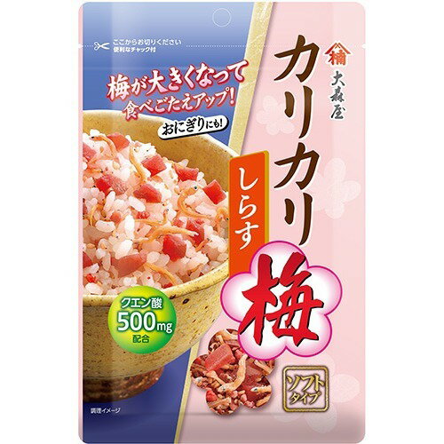 5000円以上送料無料 大森屋 カリカリ梅 しらす(40g) フード 加工食品・惣菜 ふりかけ・混ぜごはん レビュー投稿で次回使える2000円クーポン全員にプレゼント