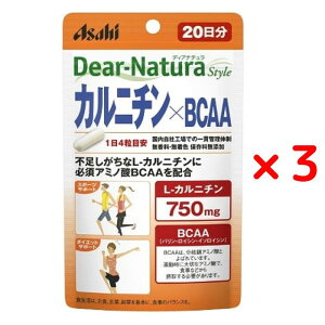 アサヒグループ食品 ディアナチュラスタイル カルニチン×BCAA 80粒入り 20日分 3個セット 日本製 サプリメント 高品質 健康維持 スポーツ ダイエット 無香料 無着色 保存料無添加 ディアナチュラ[メール便 送料無料 追跡可能 代引き不可 定形外発送の場合あり]