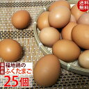 福地鶏のふくたまご25個(規格外55g以下) 福井県の平飼い地鶏卵 産地直送 テトテヲ