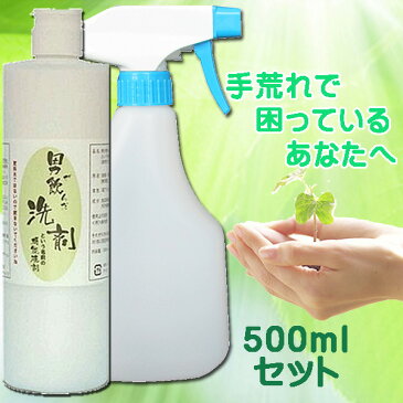 手荒れしない洗剤 「男が飲んだ 洗剤 という名前の機能液剤500ml&スプレーセット」『洗剤　安全』「手荒れにエコ洗剤」(安全)送料無料/重曹　洗剤 b