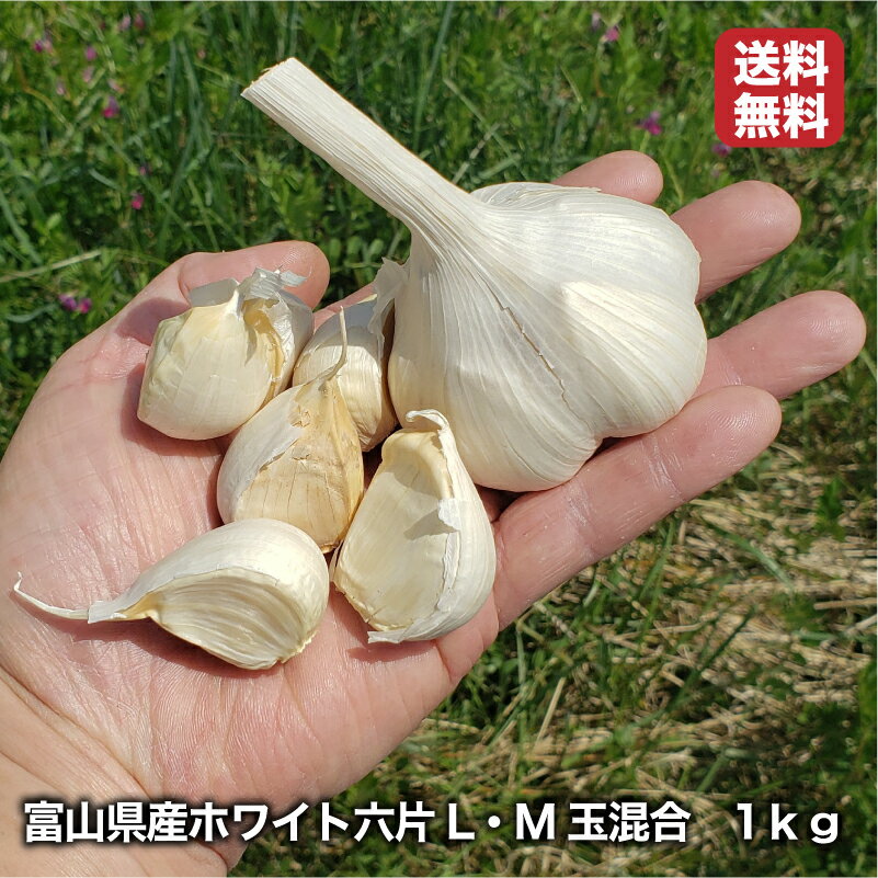 【送料無料】お買い得 富山県産にんにくホワイト六片【L・M玉混合】 1kg 国産 fsz あじまる 福地ホワイト 国産にんにく