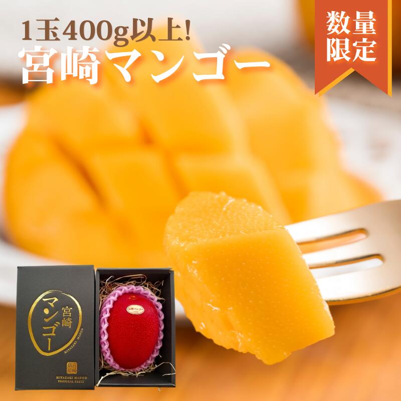 期間限定＆数量限定！1玉 3Lサイズ 400g 高級 フルーツ 果物 ギフト 贈答用 お取り寄せ ご当地 プレゼント