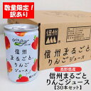 訳あり!【信州まるごと りんごジュース】160ml×30本 長野県産 果汁100% りんご ストレート ジュース 飲料 健康