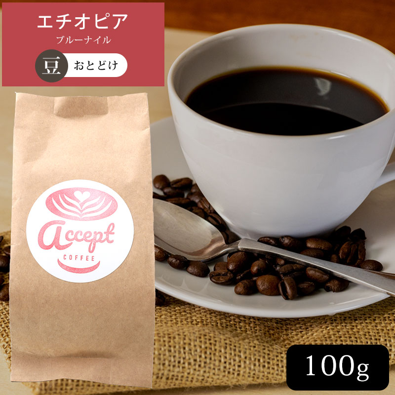 送料無料 エチオピア ブルーナイル コーヒー豆 100g レギュラーコーヒー アロマキープパック スペシャルティーコーヒー プレゼント