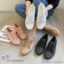 Xj[J[ V[Y C VbsO Ȃ߂炩 x[VbN Vv n hy傫TCY fB[X nCJbg ₷ Ȃ Xj[J[ LbY pvX C shoes sneakersz