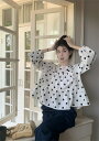 カジュアル 長袖 ドット シャツ ブラウス【大きいサイズ レディース 春夏 チュニック フォーマル オフィス ボウタイ シフォン シャツ インナー blouse】(4)