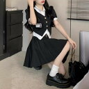 トップス プリーツスカート 2点セット 半袖 長袖【大きいサイズ レディース 夏秋 きれいめ 可愛い かわいい チュニック tops】(4)