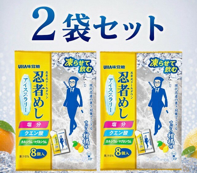 Rakuten - 2袋セット　忍者めし アイススラリー すっきり柑橘系味 UHA味覚糖 1袋(22g×8個入）福岡第一倉庫
