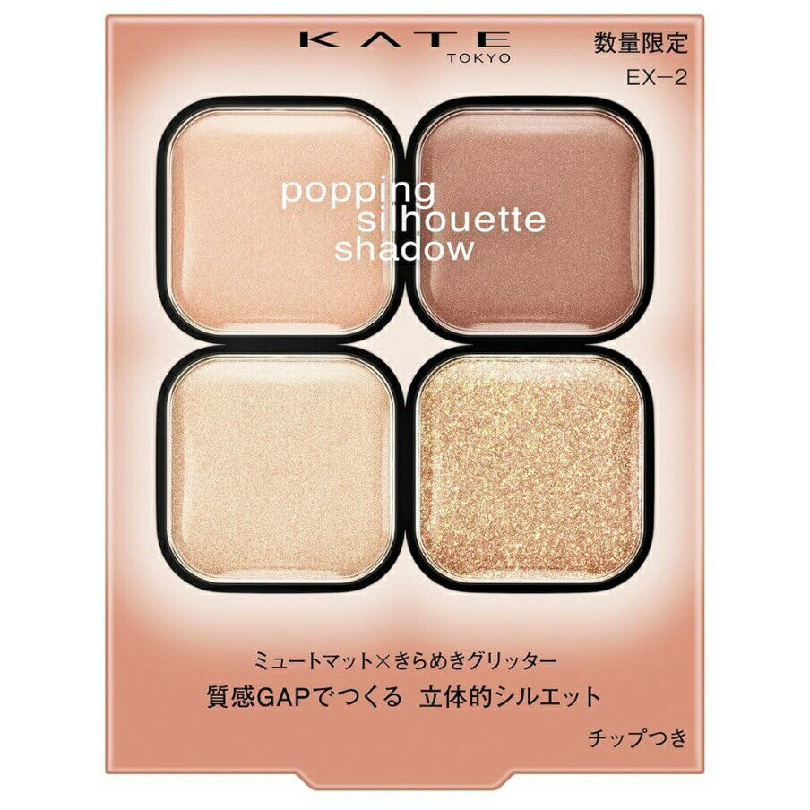 ケイト ポッピングシルエットシャドウ EXー2 広島倉庫