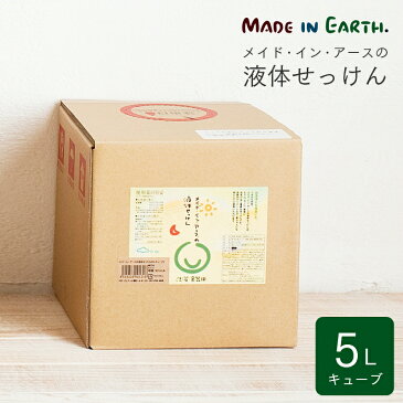 メイドインアース 液体せっけん 5L キューブ 洗濯 洗濯せっけん 洗濯洗剤 洗剤 液体 おふろ用 食器洗 キッチン用洗剤 石鹸 せっけん 詰め替え 無添加 オーガニックコットン オーガニック 布ナプキン ギフト 出産祝い 内祝い お返し【RCP】