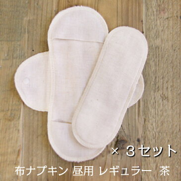 布ナプキン スタートセットナプキン コットン ショーツ オーガニックコットン 生理用品 お試し セット ライナー おりものシート 羽付き ホルダー おりもの 軽い日 昼用 多い日 夜用 洗剤 バケツ ホーロー 日本製 生理 オーガニック メイドインアース【RCP】