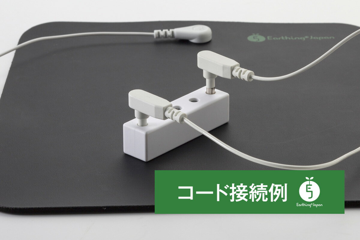 アーシング分岐ブロック1mコード付きの紹介画像3
