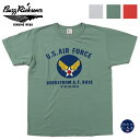 バズリクソンズ BUZZ RICKSON 039 S 半袖 Tシャツ U.S.AIR FORCE Made in U.S.A BR79121