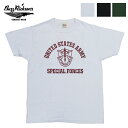 バズリクソンズ BUZZ RICKSON 039 S 半袖 Tシャツ SPECIAL FORCES Made in U.S.A BR79177