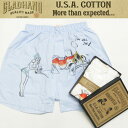 GLAD HAND グラッドハンド U.S.Aコットン スタンダード ボクサー ショーツ トランクス プリントC柄 WOVEN FABRIC(4)