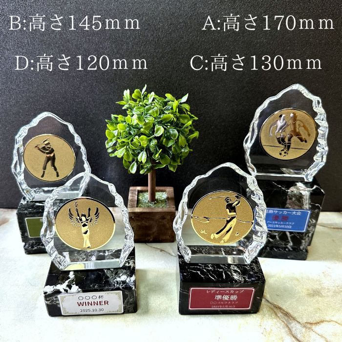 ����ŷ1�̡� �������ȥ��ե��� ���ꥹ�����������Хȥ��ե���WGST 24�Υ�꡼�դ������� �ץ졼��̵���б� A��������D������ ���̴����� 9����Υץ졼�Ȥ����٤� ����� ���å��� ��� ���� ��¤ľ�� ´�� ɽ�� ̾����̵�� ͥ�� ��ǰ��