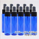 スプレー プラスチック(青色) 30ml 10