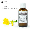 イブニングプリムローズ 50ml 【キャリアオイル ベースオイル マッサージオイル】