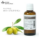 オリーブスクワラン 50ml 【キャリア